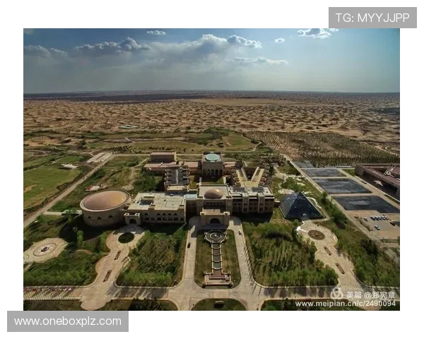 足球明星贝儿的精彩瞬间与魅力风采全景展示