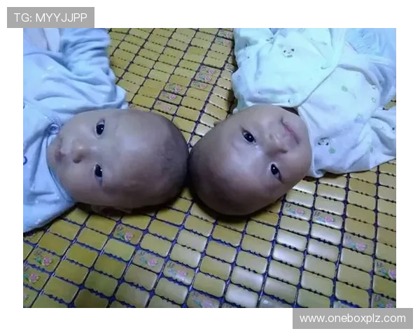 黄磊畅谈羽毛球生涯与成长历程的深刻回顾与感悟